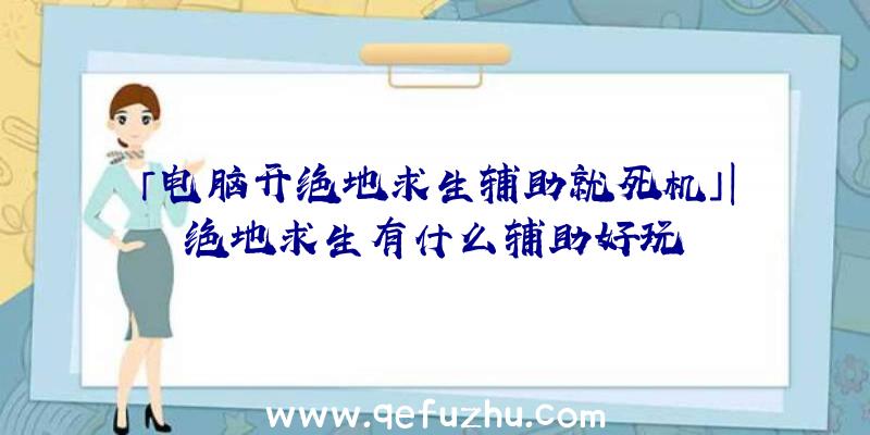 「电脑开绝地求生辅助就死机」|绝地求生有什么辅助好玩